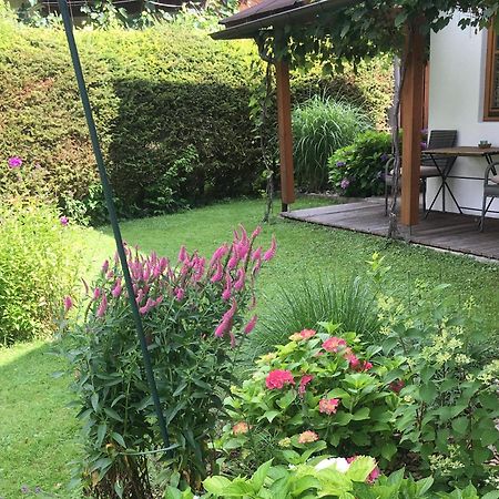 Apartment Oberdorf Breitenbach am Inn エクステリア 写真
